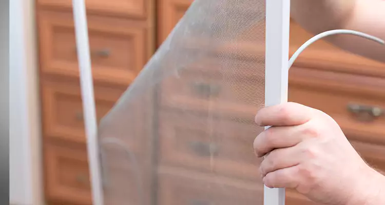 Privacy Mesh Screen Door Installation in Orlando, FL