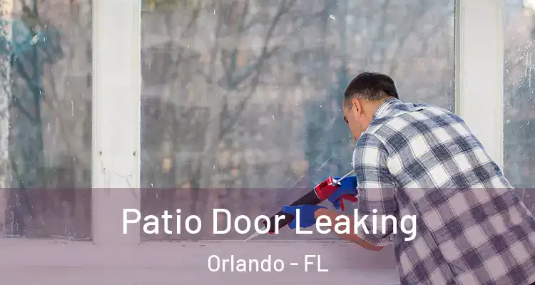  Patio Door Leaking Orlando - FL